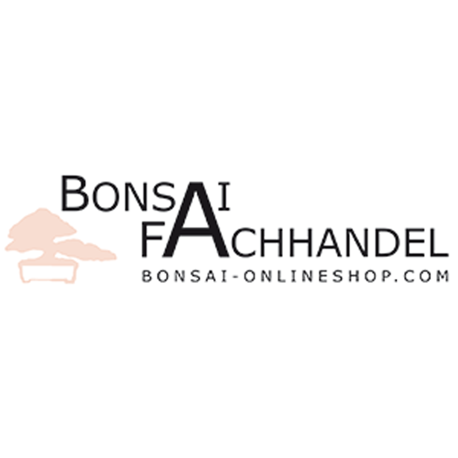 Auf was Sie als Kunde beim Kauf der Bonsai bäumchen achten sollten!